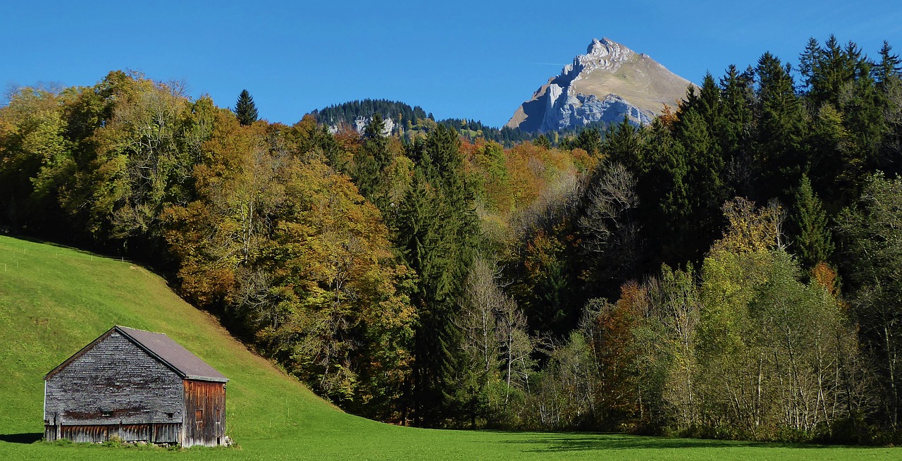 Soutien aux entreprises des régions de montagne